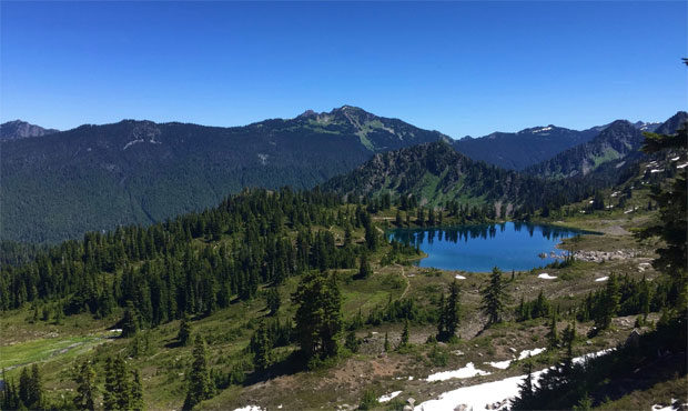 Olympic National Park rescue...