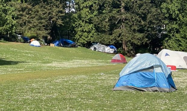 Broadview Thompson K-8 homeless encampment...