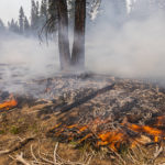 
              A small brush fires spreads ahead of a containment line near the Northwest edge of the Bootleg Fire on Friday, July 23, 2021, near Paisley, Ore. (AP Photo/Nathan Howard)
            