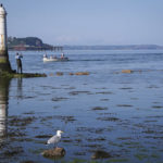 
              A man fishes next to the beacon in the Teign estuary in Shaldon, Devon, England, Monday July 19, 2021. (AP Photo/Tony Hicks)
            