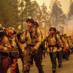 
              Cal Fire firefighters battle the Dixie Fire near Prattville in Plumas County, Calif., on Friday, July 23, 2021. (AP Photo/Noah Berger)
            
