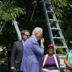 
              President Joe Biden eats a freshly picked cherry from a bucket while meeting with workers as he tours King Orchards fruit farm with Sen. Gary Peters, D-Mich., and Sen. Debbie Stabenow, D-Mich., right, Saturday, July 3, 2021, in Central Lake, Mich. (AP Photo/Alex Brandon)
            
