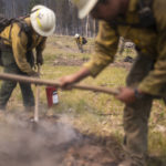 
              A firefighting crew from New Mexico mops up spot fires near the Northwest edge of the Bootleg Fire on Friday, July 23, 2021, near Paisley, Ore. (AP Photo/Nathan Howard)
            