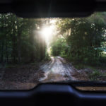 
              The sun sets between the trees in Hawthorne, Fla., Thursday, April 15, 2021, along a road that runs from the former home of Charles Newcomb, the local KKK Exalted Cyclops, to where he and accomplices traveled to scope out the home of Warren Williams, whom they were planning on kidnapping and murdering in 2015. (AP Photo/David Goldman)
            