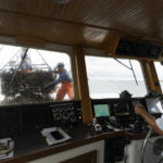 
              Jimmy Bloom captains the Cultivator shellfishing boat as his team guides a basket of oysters onboard, Monday, Aug. 9, 2021, off Norwalk, Conn. Bloom and his father, Norm Bloom, own Copps Island Oysters. (AP Photo/Mark Lennihan)
            