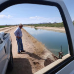 
              Paul "Paco" Ollerton and his dog, Aggie, look toward the canal system that delivers Colorado River water to his farm near Casa Grande, Ariz., on Tuesday, July 20, 2021. Climate change, drought and high demand are expected to force the first-ever mandatory cuts from the Colorado River water supply, and Arizona farmers will be hit hardest. (AP Photo/Felicia Fonseca)
            