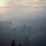 
              Smoke from a wildfire obscures a stand of trees on the Northern Cheyenne Indian Reservation, Wednesday, Aug. 11, 2021, near Ashland, Mont. In southeastern Montana, communities in and around the Northern Cheyenne Indian Reservation were ordered to evacuate as the Richard Spring Fire grew amid erratic winds.  (AP Photo/Matthew Brown)
            