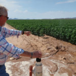 
              Paul "Paco" Ollerton flushes water valves at his farm near Casa Grande, Ariz., on Tuesday, July 20, 2021. Climate change, drought and high demand are expected to force the first-ever mandatory cuts from the Colorado River water supply, and Arizona farmers will be hit hardest. (AP Photo/Felicia Fonseca)
            