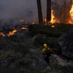 
              FILE - In this Sept. 2, 2021, file photo, a firefighter carries a water hose toward a spot fire from the Caldor Fire burning along Highway 89 near South Lake Tahoe, Calif. An unidentified firefighter has died of an illness while assigned to one of California's largest wildfires, authorities said Sunday, marking the first death in a season that has seen blazes destroy thousands of buildings and force entire towns to flee. Edwin Zuniga with the California Department of Forestry and Fire Protection said he couldn't provide other details on the death. (AP Photo/Jae C. Hong, File)
            