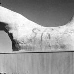 Like Winlock, Petaluma, CA was a regional center of egg production; the community was home to a giant chicken statute known as "Betty" from 1918 to 1938. (Courtesy Santa Rosa History)