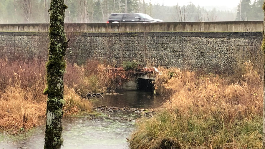 King County crews find mystery structure under Maple Valley Highway