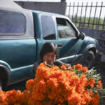 
              Maria Nunez sits with bouquets of Mexican marigolds, known as cempasuchiles, as her relatives set up a stand to sell them, ahead of the Day of the Dead celebrations at the Valle de Chalco municipal cemetery on the outskirts of Mexico City, Thursday, Oct. 28, 2021. (AP Photo/Emilio Espejel)
            