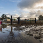 
              Water from heavy rains floods a farm near in Prunedale, Calif., Monday, Oct. 25, 2021. (AP Photo/Nic Coury)
            