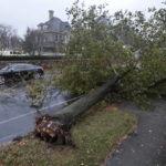 
              A car drives past a downed tree on Hawthorn Street in New Bedford, Mass. on Wednesday, Oct. 27, 2021 as a nor'easter slams into the region. (Peter Pereira/The Standard-Times via AP)
            
