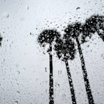 
              Rain continues to fall in Long Beach, Calif., Monday, Oct. 25, 2021. (Brittany Murray/The Orange County Register via AP)
            