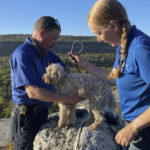 
              In this photo provided by New York State Parks on Wednesday, Oct. 13, 2021, Ulster County SPCA Executive Director Gina Carbonari, right, and SPCA Supervisor Chris West, left, check a rescued a 12-year-old dog named Liza, found trapped after five days deep inside the narrow, rocky crevice at Minnewaska State Park Preserve in Kerhonkson, N.Y. A dog trapped for five days deep inside a narrow, rocky crevice at a state park north of New York City was rescued unharmed — though it was hungry and thirsty, parks officials said Wednesday. (New York State Parks via AP)
            