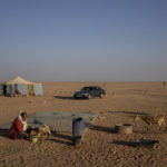 
              A Sahrawi nomad feeds cattle on the outskirts of Boujdour refugee camp, Algeria, Saturday, Oct. 16, 2021. (AP Photo/Bernat Armangue)
            