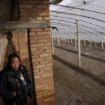 
              Hou Beibei stands near her waterlogged farm that's unsuitable for planting in Zhaoguo village in central China's Henan province on Friday, Oct. 22, 2021. The flooding disaster in July is the worst that older farmers can remember in 40 years – but it is also a preview of the kind of extreme conditions the country is likely to face as the planet warms up, and weather patterns farmers depend upon are increasingly destabilized. (AP Photo/Ng Han Guan)
            