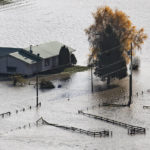 
              A house on a farm is surrounded by floodwaters in Abbotsford, British Columbia., on Wednesday, Nov. 17, 2021. (Darryl Dyck/The Canadian Press via AP)
            