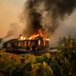
              FILE - Vines surround a burning building as the Kincade Fire burns through the Jimtown community of unincorporated Sonoma County, Calif., on Oct. 24, 2019. Pacific Gas & Electric has reached a  settlement agreement, Nov. 3, 2021, with state regulators over the 2019 Kincade fire, which was ignited by the utility's electrical transmission equipment in a remote area of Sonoma County. (AP Photo/Noah Berger, File)
            