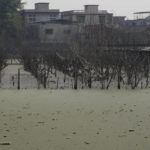 
              Stagnant water floods farmlands near Weihui city in central China's Henan province on Saturday, Oct. 23, 2021. The flooding disaster in July is the worst that older farmers can remember in 40 years – but it is also a preview of the kind of extreme conditions the country is likely to face as the planet warms up, and weather patterns farmers depend upon are increasingly destabilized. (AP Photo/Ng Han Guan)
            