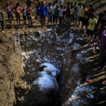 
              Villagers stand around a pit where a wild male elephant is being buried, one of two killed by a train in Durung Pathar, in the northeastern Indian state of Assam, Wednesday, Dec. 1, 2021. Speeding trains have run down dozens of wild elephants in Assam in the past, forcing the Indian Railways, which runs the trains, to regulate speed in known elephant corridors. Assam, which has a history of man-elephant conflict, has an estimated 5,000 wild Asiatic elephants. (AP Photo/Anupam Nath)
            