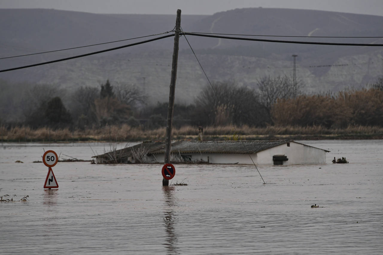 A flooded area near the Ebro River in Alfocena, near to Zaragoza Aragon province, northern Spain, T...