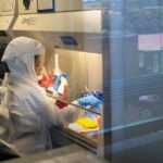 
              Scientists at the Africa Health Research Institute in Durban, South Africa, work on the omicron variant of the COVID-19 virus Wednesday Dec. 15, 2021. An analysis of data from South Africa, where the new variant is driving a surge in infections, suggests the Pfizer vaccine offers less defense against infection from omicron and reduced, but still good, protection from hospitalization. (AP Photo/Jerome Delay)
            