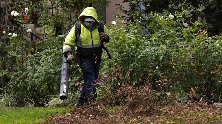 Seattle leaf blowers...