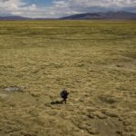 
              A migrant walks in a field after crossing into Chile from Bolivia, near Colchane, Chile, Friday, Dec. 10, 2021. (AP Photo/Matias Delacroix)
            