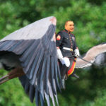 Orting's Mayor Penner on a heron. (Credit: Danyo Manalo)