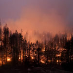 
              FILE - Trees scorched by the Caldor Fire smolder in the Eldorado National Forest, Calif., Friday, Sept. 3, 2021. The Biden administration wants to thin more forests and use prescribed burns to reduce catastrophic wildfires as climate changes makes blazes more intense. (AP Photo/Jae C. Hong, File)
            