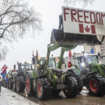 
              People gather in protest against COVID-19 mandates and in support of a protest against COVID-19 restrictions taking place in Ottawa, in Edmonton, Alberta, Saturday, Feb. 5, 2022. (Jason Franson/The Canadian Press via AP)
            