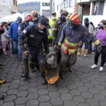 
              Rescue workers carry away the body of a victim of flash flooding triggered by rain filling up nearby streams that burst their containment mechanisms, collapsing a hillside and bringing waves of mud over homes in La Gasca area of Quito, Ecuador, Tuesday, Feb. 1, 2022. (AP Photo/Dolores Ochoa)
            