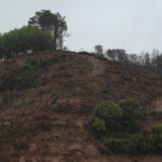 
              Burned trees and debris are scattered along the stepped hillside near the China Eastern crash site Thursday, March 24, 2022, in Wuzhou city, in southwestern China's Guangxi province. The search area was expanded Thursday in a "blanket search" for the second black box from a China Eastern passenger plane that crashed in southern China with 132 people on board earlier this week, state media said. (AP Photo/Ng Han Guan)
            