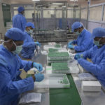 
              FILE - Employees pack boxes containing vials of Covishield, a version of the AstraZeneca vaccine, at the Serum Institute of India in Pune on Monday, Nov. 22, 2021. The Serum Institute of India, the world’s largest vaccine maker, has manufactured millions of Novavax doses, but none went to COVAX. According to India’s Ministry of External Affairs and the institute, more than 28.9 million Novavax doses were sent to the Netherlands in January and February, while Australia received about 6 million doses. Indonesia also received about 9 million doses in December. (AP Photo/Rafiq Maqbool, File)
            