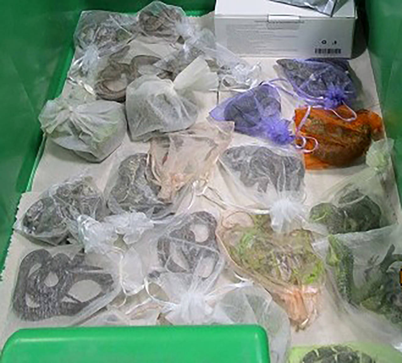This February 2022 photo provided by the U.S. Customs and Border Protection shows snakes in bags fo...