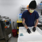 
              Greg Brewer prepares True North Collective gummies with sugar in Jackson, Mich., Wednesday, March 2, 2022. Over the past few years, Jonny Griffis has invested millions of dollars in his legal marijuana farm in northern Michigan, which produces extracts to be used in things like gummy bears and vape oils. But now that farm — like many other licensed grows in states that have legalized marijuana — faces an existential threat: high-inducing cannabis compounds derived not from the heavily regulated and taxed legal marijuana industry, but from a chemical process involving little-regulated, cheaply grown hemp. (AP Photo/Paul Sancya)
            