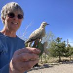 
              Lisa Wells holds a porcelain dove on Wednesday, April 20, 2022, that her son-in-law recovered from the ashes of her home that was destroyed by a wildfire on the outskirts of Flagstaff, Ariz. The wildfire forced the evacuation of hundreds of homes and animals. (AP Photo/Felicia Fonseca)
            