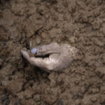 
              The hand of a corpse buried along with other bodies is seen in a mass grave in Bucha, in the outskirts of Kyiv, Ukraine, Sunday, April 3, 2022. (AP Photo/Rodrigo Abd)
            