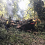 
              This photo provided by California State Parks shows the Pioneer Tree one of the few remaining old-growth coastal redwoods at Samuel P. Taylor State Park, Calif., on Thursday, March 24, 2022, after it collapsed from a fire. (California State Parks via AP)
            