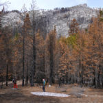 
              Researchers collect data near a patch of snow at the site of the 2021 Caldor Fire on Monday, April 4, 2022, near Twin Bridges, Calif. As wildfires intensify across the West, researchers are studying how scorched trees could lead to a faster snowmelt and end up disrupting water supplies. Without a tree canopy, snow is exposed to more sunlight.  (AP Photo/Brittany Peterson)
            