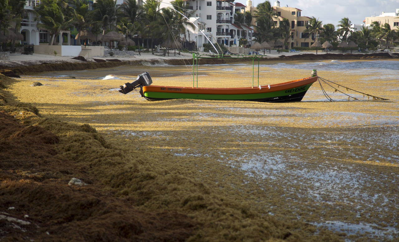 A boat floats on the water, surrounded by  sargassum, a seaweed-like algae, in Bahia La Media Luna,...