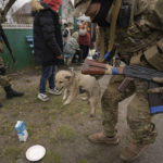 
              A Ukrainian serviceman tries unsuccessfully to convince a puppy to drink milk as residents wait for distribution of food products in the village of Motyzhyn, Ukraine, which was until recently under the control of the Russian military, Sunday, April 3, 2022. (AP Photo/Vadim Ghirda)
            