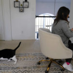 
              Maleeha Aziz, an organizer for the Texas Equal Access Fund, works from her desk as her pet cat wanders in Allen, Texas, Wednesday, March 9, 2022. States with some of the nation’s strictest abortion laws are also some of the hardest places to have and raise a healthy child, especially for the poor, according to an analysis of federal data by The Associated Press. (AP Photo/LM Otero)
            