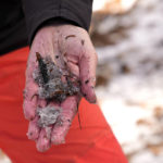 
              Snow hydrologist Anne Nolin holds a sample of dirty snow at the site of the 2021 Caldor Fire, Monday, April 4, 2022, near Twin Bridges, Calif. As wildfires intensify across the West, researchers are studying how scorched trees could lead to a faster snowmelt and end up disrupting water supplies. Without a tree canopy, snow is exposed to more sunlight. (AP Photo/Brittany Peterson)
            