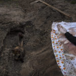 
              A cat rests inside the grave of Lyudmyla Kononuchenko, 51, who was buried by family and friends after being hit by a rocket on March 23 during the war with Russia, in Irpin, in the outskirts of Kyiv, Ukraine, Friday, April 15, 2022. The corpse of Lyudmyla was exhumed in the yard of her house and taken to the morgue for analysis. (AP Photo/Rodrigo Abd)
            
