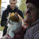 
              A woman with a cat sits in a bus to move to Ukrainian city of Dnipro during an evacuation of civilians in Kramatorsk, Ukraine, Tuesday, April 19, 2022. (AP Photo/Andriy Andriyenko)
            