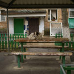 
              A dog rests on a table in a square at partially abandoned Chernobyl town, Ukraine, Tuesday, April 26, 2022. (AP Photo/Francisco Seco)
            