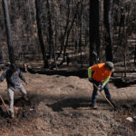 
              Workers Ethan Markes, left, and Andy Vicars, right, dig up a leaking water pipeline damaged by falling debris at the site of the 2021 Caldor Fire, Tuesday, April 5, 2022, near Grizzly Flats, Calif. As climate change fuels the spread of wildfires across the West, researchers want to know how the dual effect might disrupt water supplies. (AP Photo/Brittany Peterson)
            